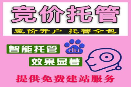 SEM代运营案例：打造高效广告投放方案